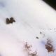 102_704.jpg