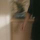 109_431.jpg