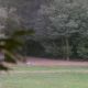 112_511.jpg